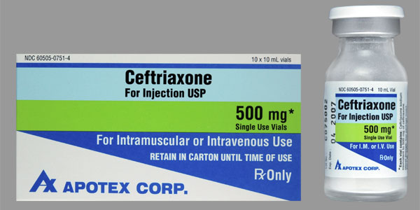 Ceftriaxone Sodium 500 mg Injection Single Dose Vial 10 mL (Rocephin) by Apotex Corporation  ID 60505-6152-01